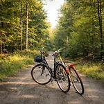 Natuurhuisje In Het Bos Met Rustige Ligging En Ruime Tuin Stijlvol Ingericht Stayatsas Sam Epe