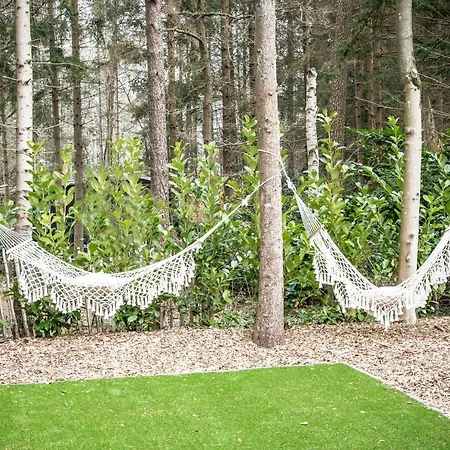 Holiday home Stayatsas Sam, Middenin Het Bos, Kindvriendelijk, Stijlvol Ingericht, Parkeren Naast Het Huisje,veel Privacy, Ruime Tuin Epe