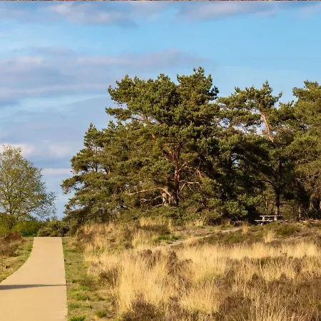 Holiday home Stayatsas Sam, Middenin Het Bos, Kindvriendelijk, Stijlvol Ingericht, Parkeren Naast Het Huisje,veel Privacy, Ruime Tuin