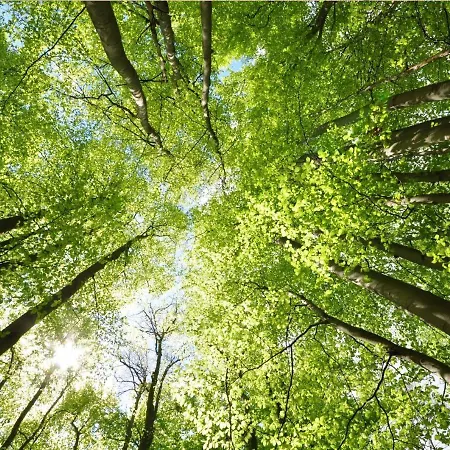 Prázdninový dům Stayatsas Sam, Middenin Het Bos, Kindvriendelijk, Stijlvol Ingericht, Parkeren Naast Het Huisje,veel Privacy, Ruime Tuin