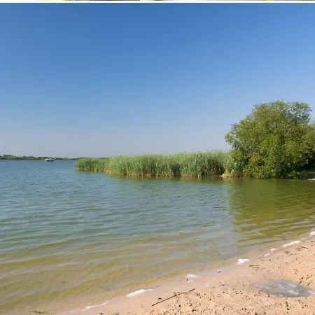 Prázdninový dům Stayatsas Sam, Middenin Het Bos, Kindvriendelijk, Stijlvol Ingericht, Parkeren Naast Het Huisje,veel Privacy, Ruime Tuin