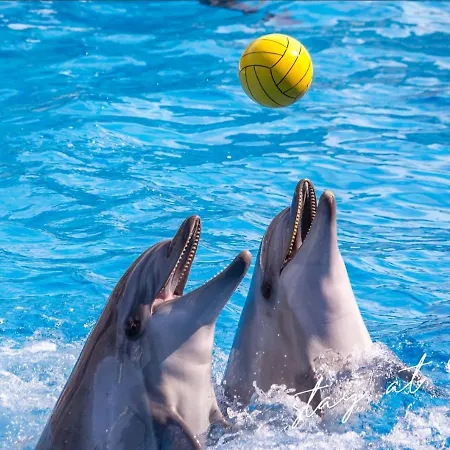 Stayatsas Sam, Middenin Het Bos, Kindvriendelijk, Stijlvol Ingericht, Parkeren Naast Het Huisje,veel Privacy, Ruime Tuin Holiday home *