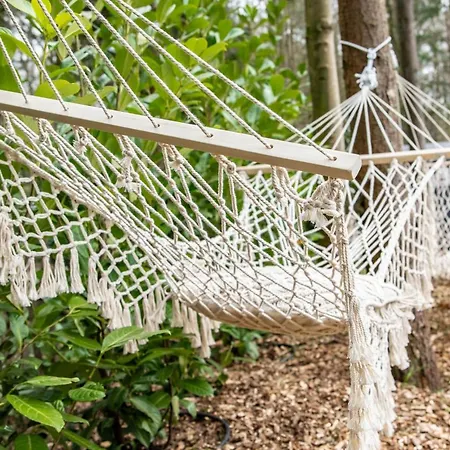 Stayatsas Sam, Middenin Het Bos, Kindvriendelijk, Stijlvol Ingericht, Parkeren Naast Het Huisje,veel Privacy, Ruime Tuin Prázdninový dům *