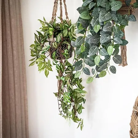 Stayatsas Sam, Middenin Het Bos, Kindvriendelijk, Stijlvol Ingericht, Parkeren Naast Het Huisje,veel Privacy, Ruime Tuin Prázdninový dům *