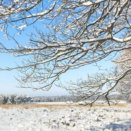 Stayatsas Sam, Middenin Het Bos, Kindvriendelijk, Stijlvol Ingericht, Parkeren Naast Het Huisje,veel Privacy, Ruime Tuin Holiday home Epe