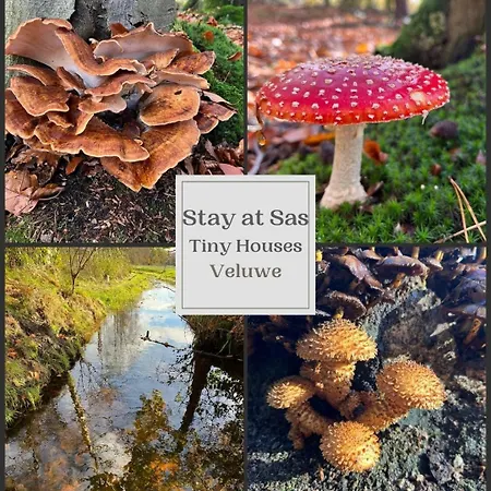 Stayatsas Sam, Middenin Het Bos, Kindvriendelijk, Stijlvol Ingericht, Parkeren Naast Het Huisje,veel Privacy, Ruime Tuin Holiday home