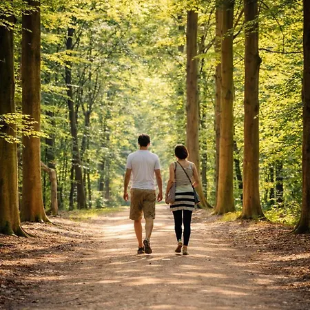 Natuurhuisje In Het Bos Met Rustige Ligging En Ruime Tuin Stijlvol Ingericht Stayatsas Sam Holiday home *