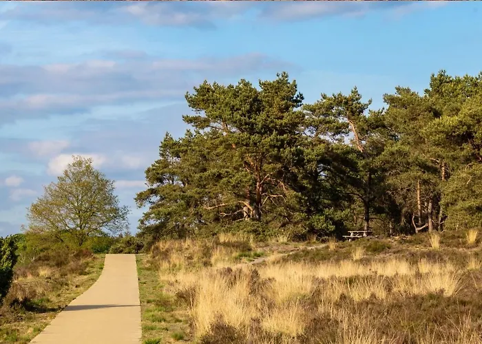 Dom wakacyjny Stayatsas Sam, Middenin Het Bos, Kindvriendelijk, Stijlvol Ingericht, Parkeren Naast Het Huisje,veel Privacy, Ruime Tuin