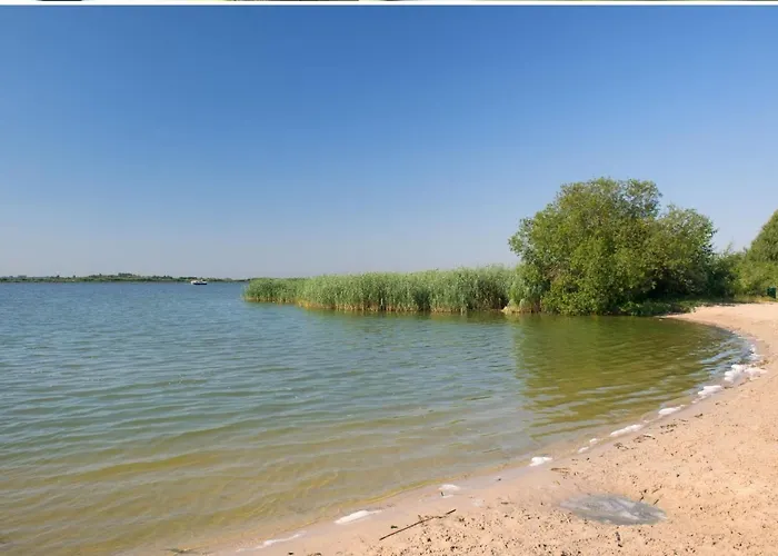 Dom wakacyjny Stayatsas Sam, Middenin Het Bos, Kindvriendelijk, Stijlvol Ingericht, Parkeren Naast Het Huisje,veel Privacy, Ruime Tuin