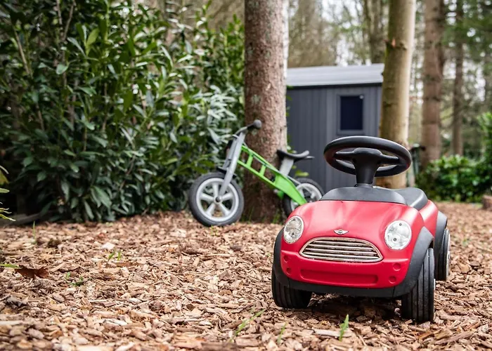 Natuurhuisje In Het Bos Met Rustige Ligging En Ruime Tuin Stijlvol Ingericht Stayatsas Sam *