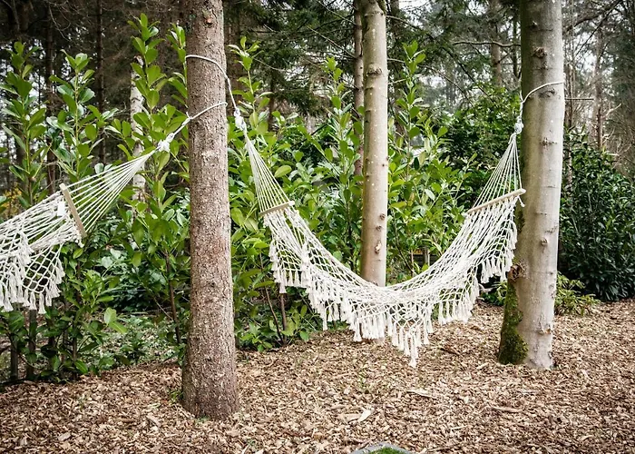 Stayatsas Sam, Middenin Het Bos, Kindvriendelijk, Stijlvol Ingericht, Parkeren Naast Het Huisje,veel Privacy, Ruime Tuin Dom wakacyjny Epe