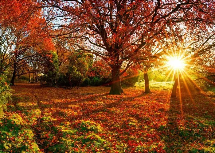 Semesterbostad Stayatsas Sam, Middenin Het Bos, Kindvriendelijk, Stijlvol Ingericht, Parkeren Naast Het Huisje,veel Privacy, Ruime Tuin *