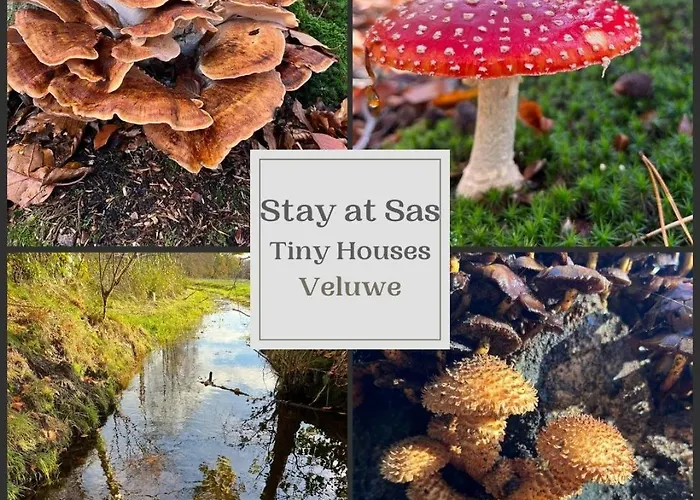 Stayatsas Sam, Middenin Het Bos, Kindvriendelijk, Stijlvol Ingericht, Parkeren Naast Het Huisje,veel Privacy, Ruime Tuin Semesterbostad