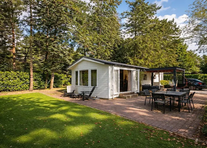 Natuurhuisje In Het Bos Met Rustige Ligging En Ruime Tuin Stijlvol Ingericht Stayatsas Sam * Epe