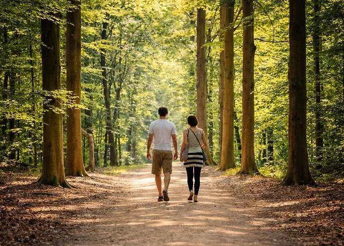 Natuurhuisje In Het Bos Met Rustige Ligging En Ruime Tuin Stijlvol Ingericht Stayatsas Sam Holiday home *
