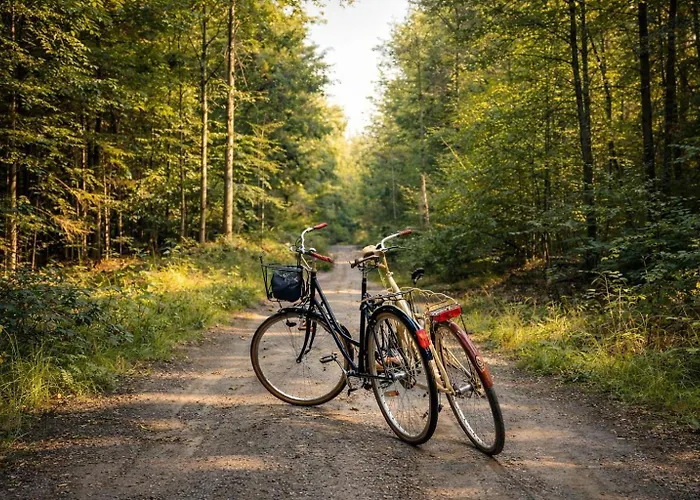 Natuurhuisje In Het Bos Met Rustige Ligging En Ruime Tuin Stijlvol Ingericht Stayatsas Sam Epe