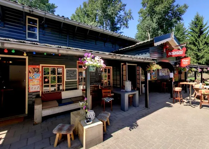 Holiday home Natuurhuisje In Het Bos Met Rustige Ligging En Ruime Tuin Stijlvol Ingericht Stayatsas Sam