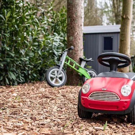 Stayatsas Tiny House Sam In De Bossen Op De Veluwe! *