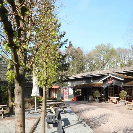 Stayatsas Tiny House Sam In De Bossen Op De Veluwe!