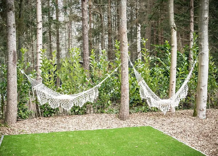 Сasa de vacaciones Stayatsas Sam, Middenin Het Bos, Kindvriendelijk, Stijlvol Ingericht, Parkeren Naast Het Huisje,veel Privacy, Ruime Tuin Epe