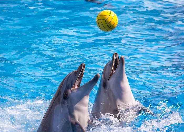 Stayatsas Sam, Middenin Het Bos, Kindvriendelijk, Stijlvol Ingericht, Parkeren Naast Het Huisje,veel Privacy, Ruime Tuin Сasa de vacaciones *