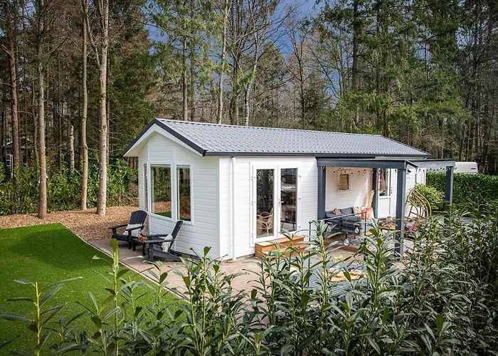 Сasa de vacaciones Stayatsas Sam, Middenin Het Bos, Kindvriendelijk, Stijlvol Ingericht, Parkeren Naast Het Huisje,veel Privacy, Ruime Tuin Epe