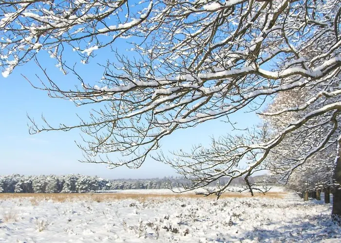 Stayatsas Sam, Middenin Het Bos, Kindvriendelijk, Stijlvol Ingericht, Parkeren Naast Het Huisje,veel Privacy, Ruime Tuin Сasa de vacaciones Epe